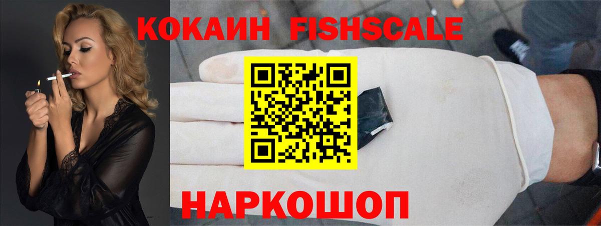 Камышлов  как найти закладки  Cocaine FishScale  Вход с VPN  Cocaine 98% 