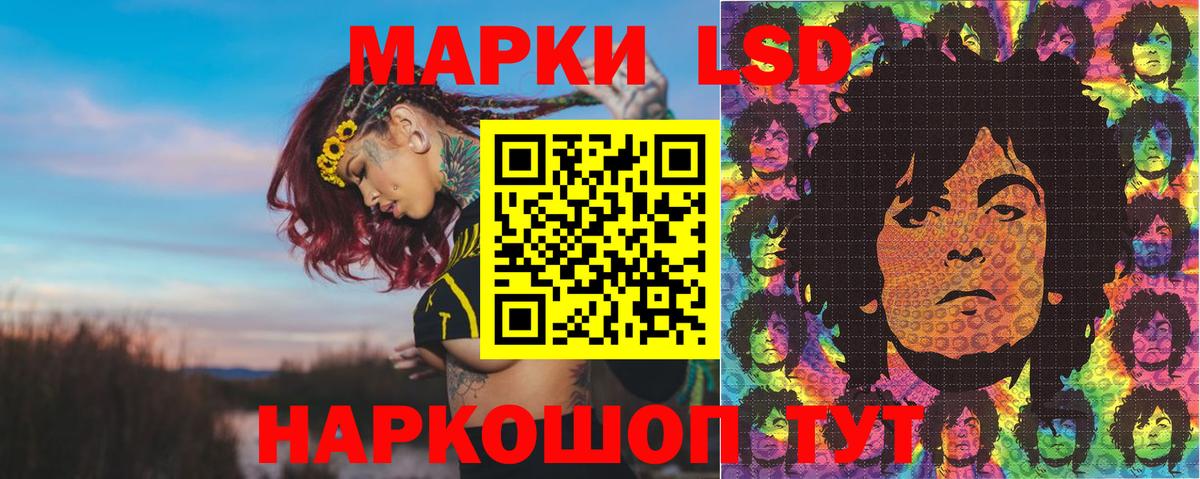 Камышлов  закладка  Вход с VPN  Марки 25I-NBOMe 1,8мг 