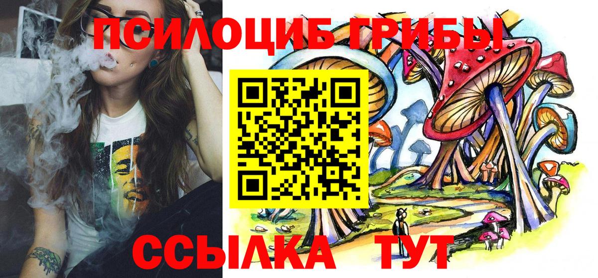 Псилоцибиновые грибы прущие грибы Камышлов
