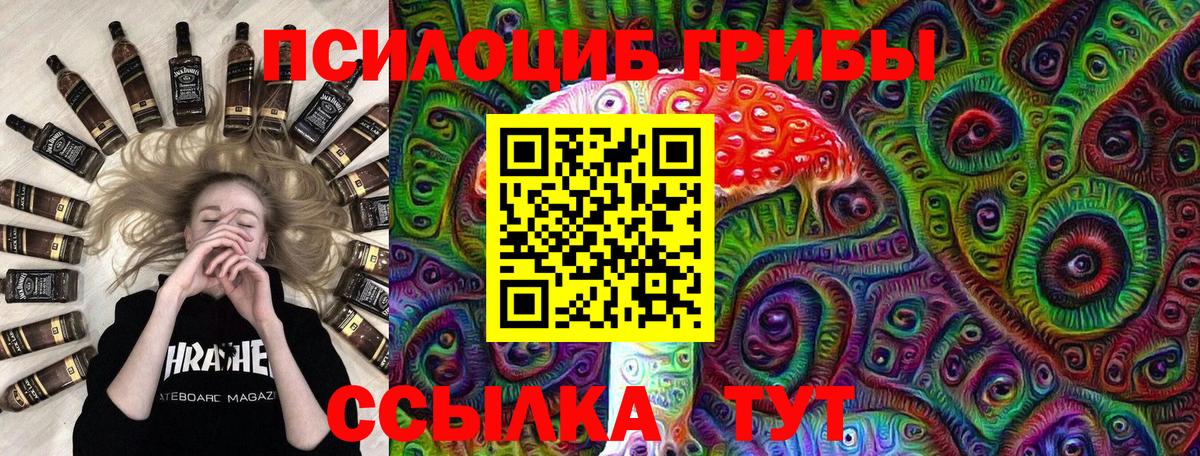 Камышлов  Псилоцибиновые грибы мухоморы  Псилоцибиновые грибы Cubensis  Вход с VPN 
